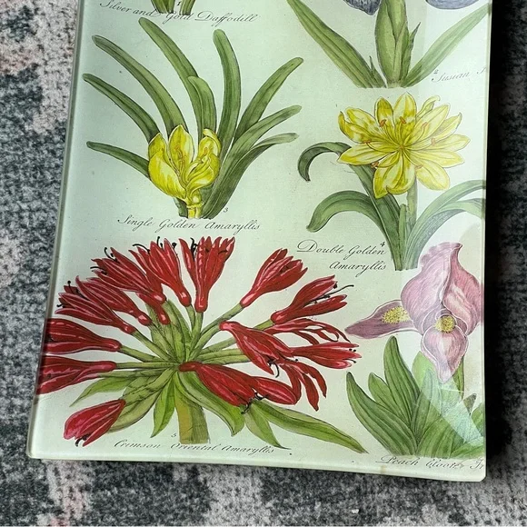 🆕 SIGNED John Derian Floral Print Dish Tray Plate Catch All Design Hanging Art - Picture 6 of 13